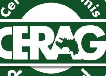 L’Union des forces démocratiques de Guinée, entre Arrogance et bon sens, le choix du CERAG-UFDG