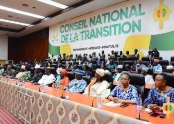 La politique, une affaire de stratèges, pas de néophytes ! (Abdoulaye Sankara)