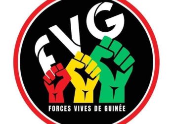 Menace de disparition forcée : Le Forum des Forces Sociales de Guinée porte plainte au TPI de Dixinn (Copie)