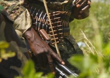 Mali: un militaire tué et 30 terroristes neutralisés dans une attaque à Nioro du Sahel