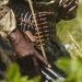 Mali: un militaire tué et 30 terroristes neutralisés dans une attaque à Nioro du Sahel 9 Mali: un militaire tué et 30 terroristes neutralisés dans une attaque à Nioro du Sahel