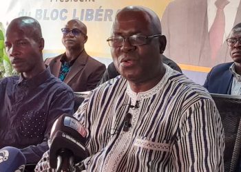 Immersion gouvernementale: le scepticisme de leader du Bloc Libéral