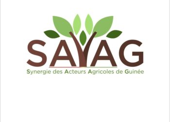 Une nouvelle ère de communication et de plaidoyer pour la Synergie des Acteurs Agricoles
