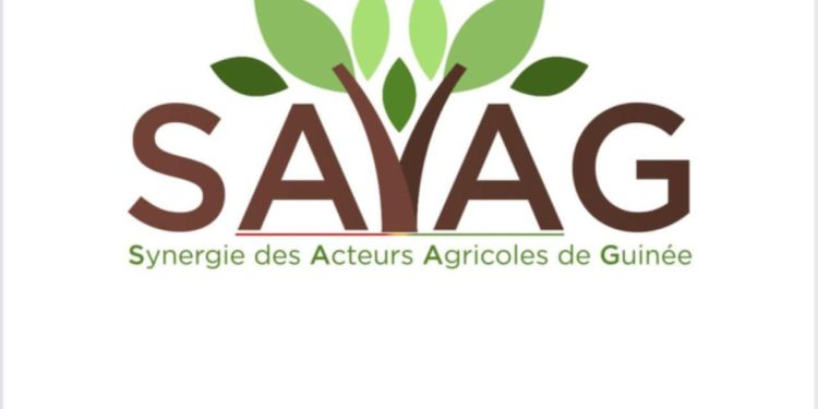 Une nouvelle ère de communication et de plaidoyer pour la Synergie des Acteurs Agricoles 1 Une nouvelle ère de communication et de plaidoyer pour la Synergie des Acteurs Agricoles
