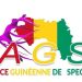 Incidents au concert de Himra: l’Agence Guinéenne de Spectacles sanctionne Summum Prod 10 Obtention et renouvellement des licences: l’Agence Guinéenne de Spectacles fixe la date limite au 31 mars 2025