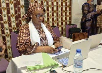 Evaluation des partis politiques: Quels sont les partis autorisés à mener les activités?