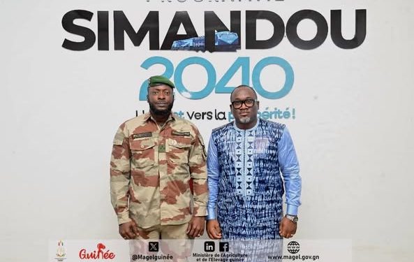 𝐌𝐀𝐆𝐄𝐋 – Le ministre Felix LAMAH rencontre le général Amara CAMARA. L&rsquo;agriculture, premier pilier du projet Simandou.