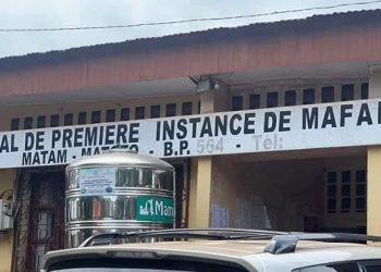 Trafic de cocaïne : le TPI de Mafanco condamne Edward John à 10 ans et bannit 4 trafiquants du territoire guinéen