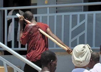 Lola : un cueilleur de palmes grièvement blessé dans un accident hors du commun