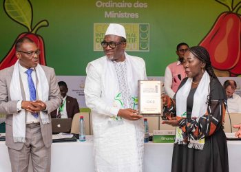 Le ministre Felix Lamah prend la présidence du conseil des ministres du CICC