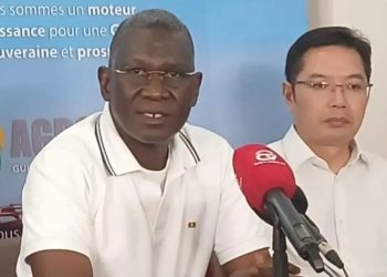 « Nous avons défini un business model qui fait que… », explique Ahmed Kanté patron de AGB2A