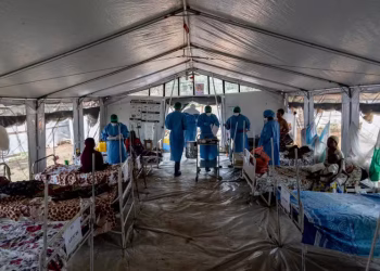 La Sierra Leone recense plus de 3 000 cas de Mpox, et 14 décès (AFP) 5 La Sierra Leone recense plus de 3 000 cas de Mpox, et 14 décès (AFP)