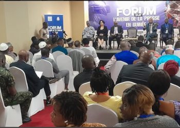 L&rsquo;avenir de la presse en Guinée: Ici les fortes rècommandations