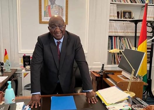 Paris: Pour cause d'actes d'incivilité, l'ambassade Guinée suspend le recensement 1 Paris: Pour cause d’actes d’incivilité, l’ambassade Guinée suspend le recensement