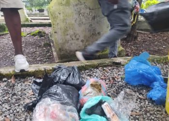 Lutte contre la drogue Kush: l&rsquo;opération Epervier des services spéciaux démantèle un nid au cimetière de Boulbinet!