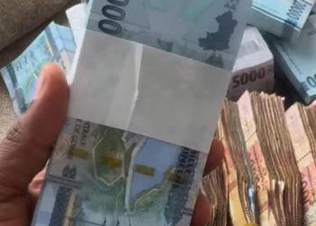 La monnaie repose sur la confiance, pas sur le patriotisme (Par Pr Amath Ndiaye, FASEG-UCAD)