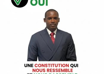 Un engagement pour Tougué et pour la Guinée (par Abdoul Aziz Diallo DNVU)