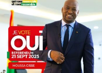 Nouvelle constitution, Nouvelle expérience pour la Guinée (Abdoulaye Tiranke Camara) 3 Nouvelle constitution,  Nouvelle expérience pour la Guinée (Abdoulaye Tiranke Camara)