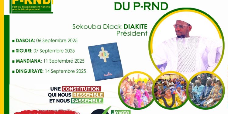 Nouvelle constitution : Sékouba Diack Diakité entame une tournée nationale dans le cadre de la campagne référendaire 1 Nouvelle constitution : Sékouba Diack Diakité entame une tournée nationale dans le cadre de la campagne référendaire