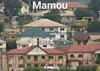 Infanticide à Mamou : une mère de cinq enfants condamnée pour homicide d'un bébé né hors mariage 7 Infanticide à Mamou : une mère de cinq enfants condamnée pour homicide d’un bébé né hors mariage