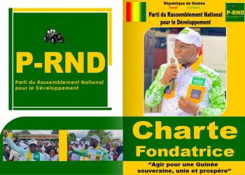 Présidentielles du 28 décembre: le P-RND de Sékouba Diack convie à la convention nationale de candidature