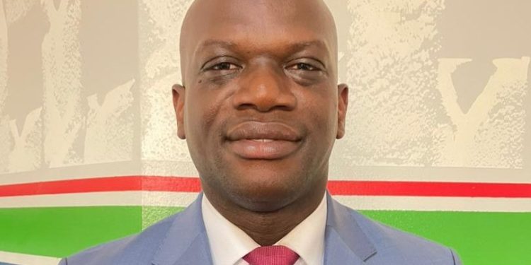Quelles meilleures stratégies de mobilisation des Ressources Internes favorables au financement du programme Simandou 2040, devons-nous proposer et recommander à son excellence, Président Mamadi Doumbouya pour son premier mandat démocratique ? 1 Quelles meilleures stratégies de mobilisation des Ressources Internes favorables au financement du programme Simandou 2040, devons-nous proposer et recommander à son excellence, Président Mamadi Doumbouya pour son premier mandat démocratique ?