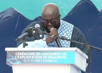 Projet Simandou : les confidences du Président Doumbouya à Djiba Diakité à l’entame