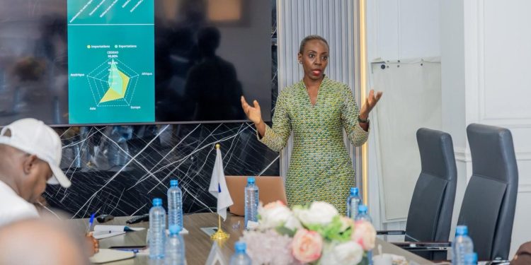 Pour qui sonne le…train : Simandou entre espoirs et interrogations