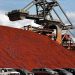Nimba Minning Company réalise son premier chargement : une étape majeure pour le développement minier de la Guinée 9 Nimba Minning Company réalise son premier chargement : une étape majeure pour le développement minier de la Guinée