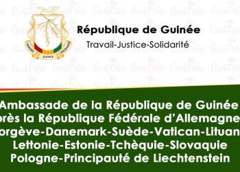Expulsion de guinéens en Allemagne: cet appel important de l&rsquo;ambassade à la sérénité