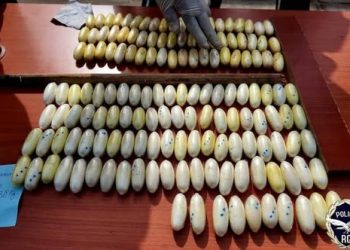 Lutte contre le trafic de drogue : 346 boules de cocaïne saisies par la police guinéenne