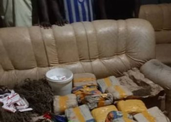 Lutte contre la drogue : la police saisie une importante quantité de chanvre indien à Koundara