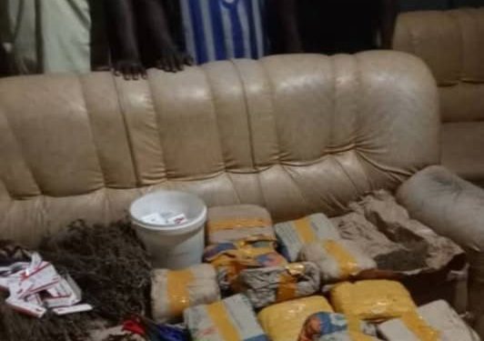 Lutte contre la drogue : la police saisie une importante quantité de chanvre indien à Koundara 1 Lutte contre la drogue : la police saisie une importante quantité de chanvre indien à Koundara