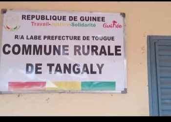 Tougué : un présumé voleur de bétail blessé par balle à Tangaly