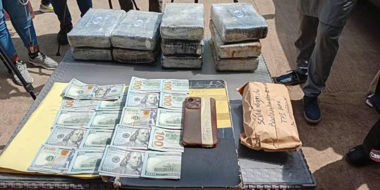 Trafic de drogue : les services spéciaux réussissent deux grosses saisies plus des devises à Conakry et Kamsar 1 Trafic de drogue : les services spéciaux réussissent deux grosses saisies plus des devises à Conakry et Kamsar