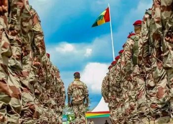 Décret/Armée : Des centaines de militaires des Forces spéciales décorés dans l’Ordre national du mérite
