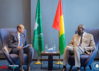 Nairobie : Mahmoud Ali Youssouf salue les avancées en Guinée et l'invite à booster les Etas voisins 7 Nairobie : Mahmoud Ali Youssouf salue les avancées en Guinée et l’invite à booster les Etas voisins