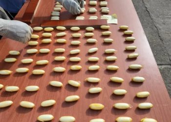 Trafic de cocaïne : deux individus interpellés à l’aéroport AST avec 145 boules