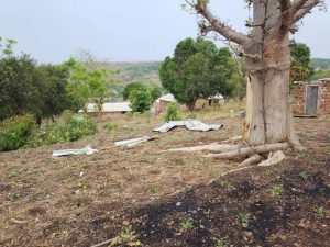 Violente pluie à Bandeya : plusieurs familles sinistrées après d’importants dégâts matériels 3 IMG 20260513 WA0060