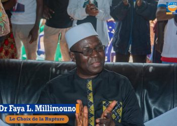 Ceux qui observent pour ne rien voir ou la grande imposture des observateurs électoraux professionnels (Par Faya Lansana Millimouno) 3 Ceux qui observent pour ne rien voir ou la grande imposture des observateurs électoraux professionnels (Par Faya Lansana Millimouno)