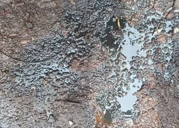 Huiles de vidange au sol : quelles conséquences environnementales ou sanitaire ? 3 Huiles de vidange au sol : quelles conséquences environnementales ou sanitaire ?