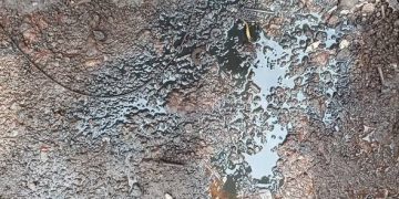 Huiles de vidange au sol : quelles conséquences environnementales ou sanitaire ? 