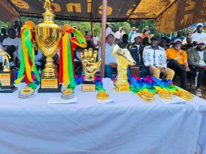 Boffa-Lissô : N’Dantary remporte le tournoi des vacanciers doté du trophée Ahmed Kanté 2 motion photo 2267592399757368013
